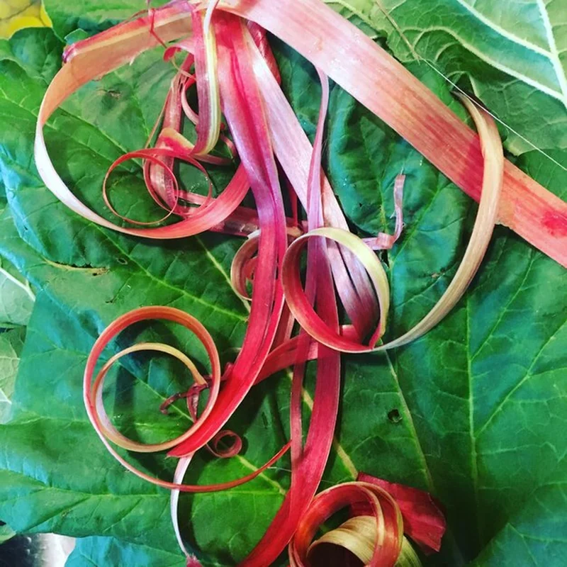 Jak przechować szczaw na zimę? Sprawdź przepis na mrożenie