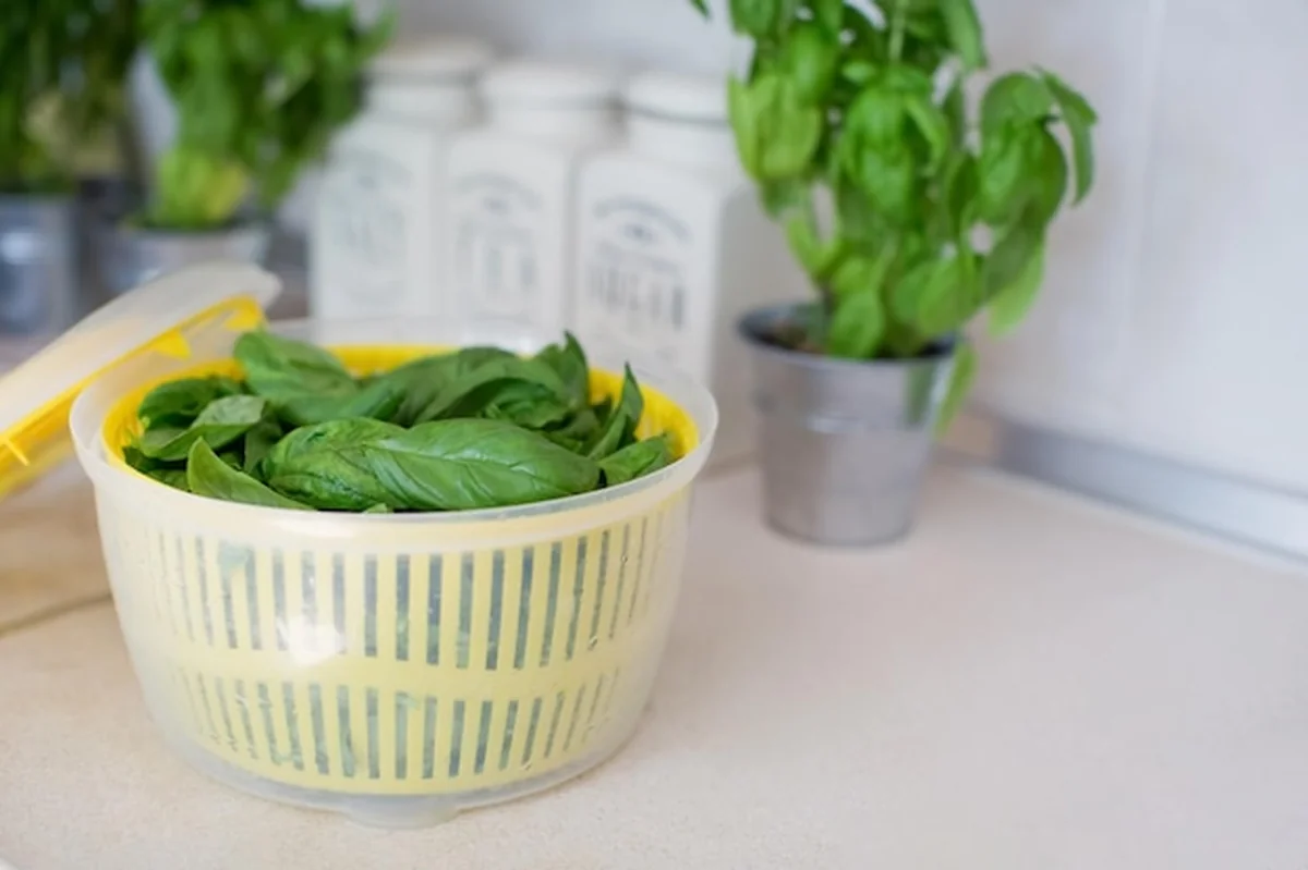 Suszarka wirówkowa z liśćmi bazylii