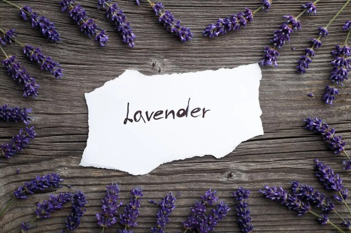 Kwiaty lawendy na drewnianym tle