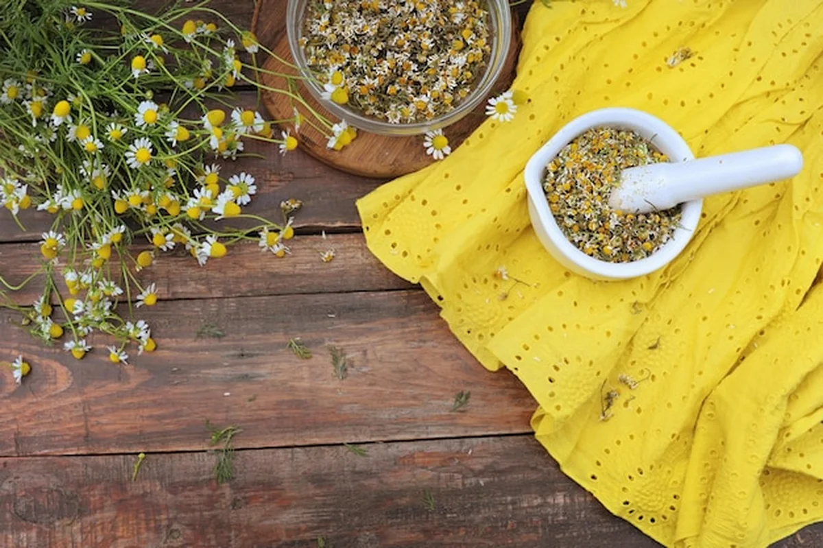 Kwiaty rumianku w tłuczku na drewnianym stole