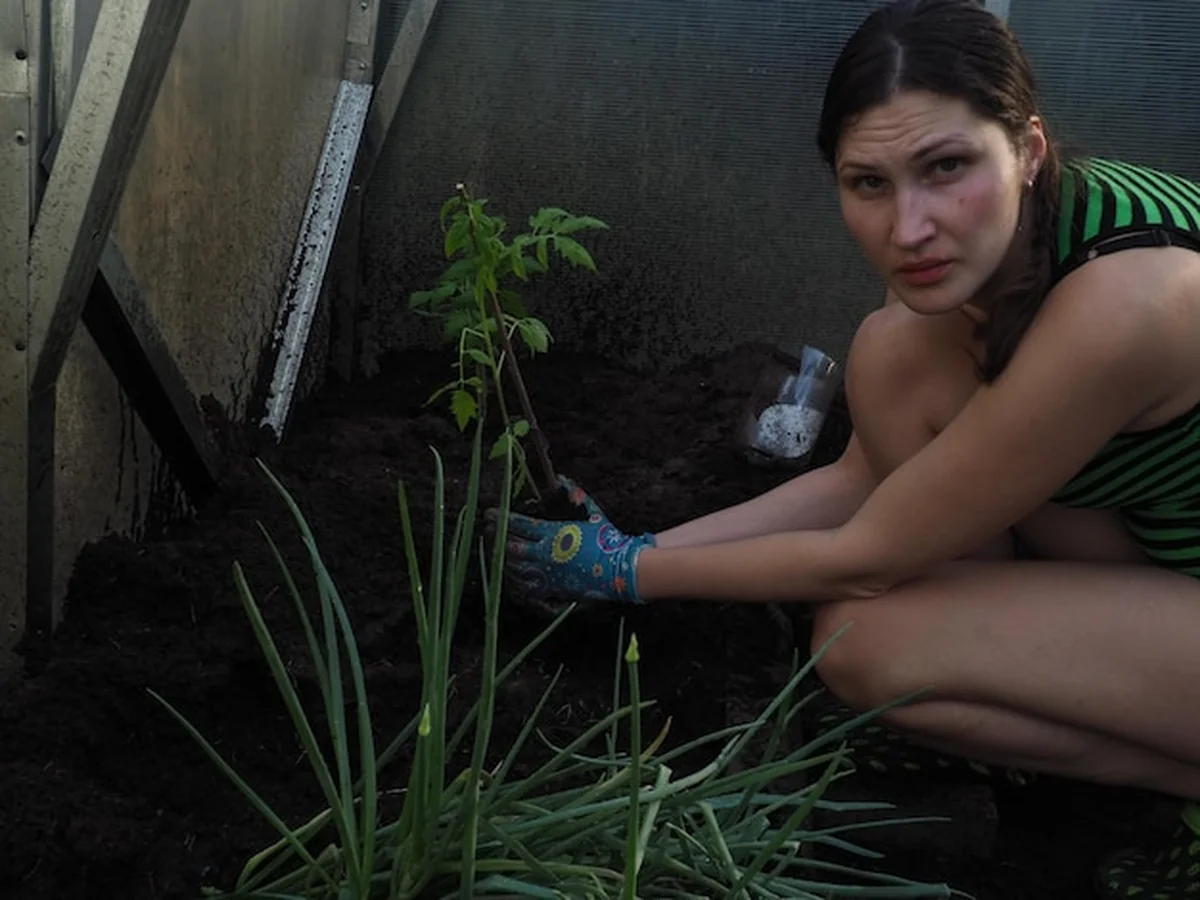 Kobieta sadzi drzewo w ogrodzie