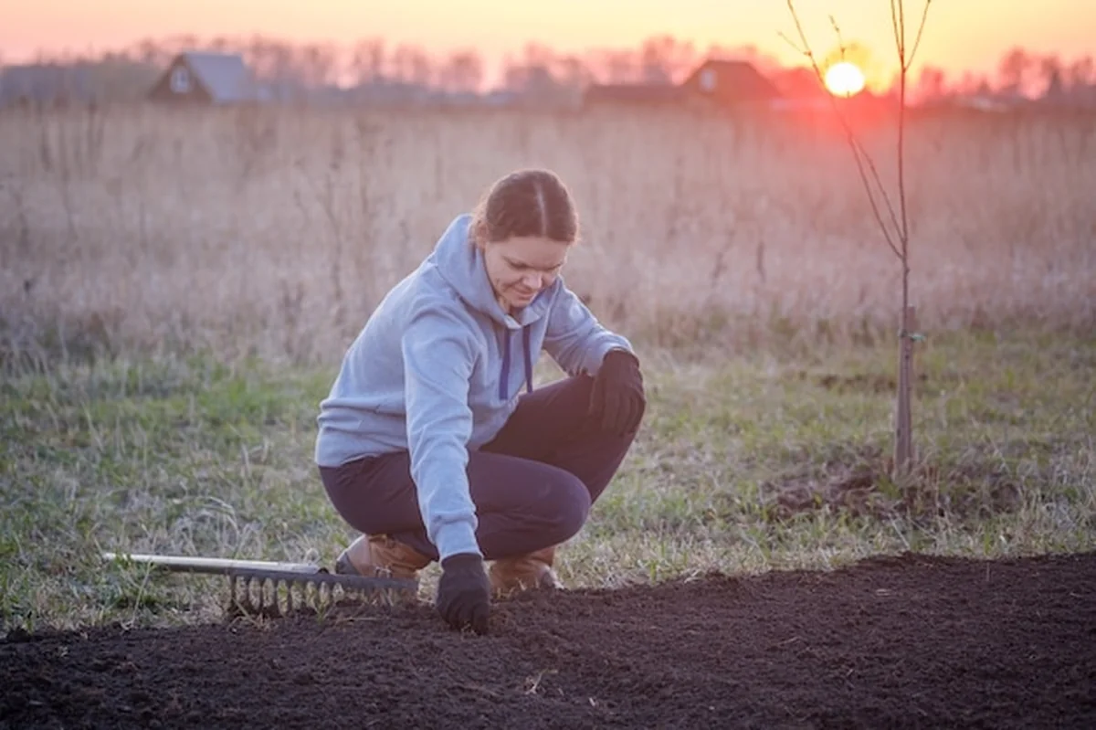 Młoda kobieta kopcze ziemię w ogrodzie przed zasiewem nasion