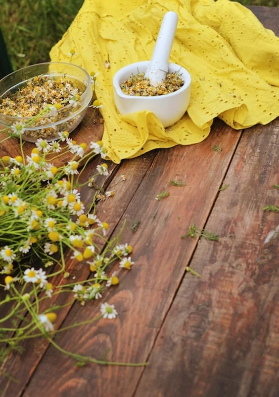 Kwiaty rumianku w tłuczku na drewnianym stole