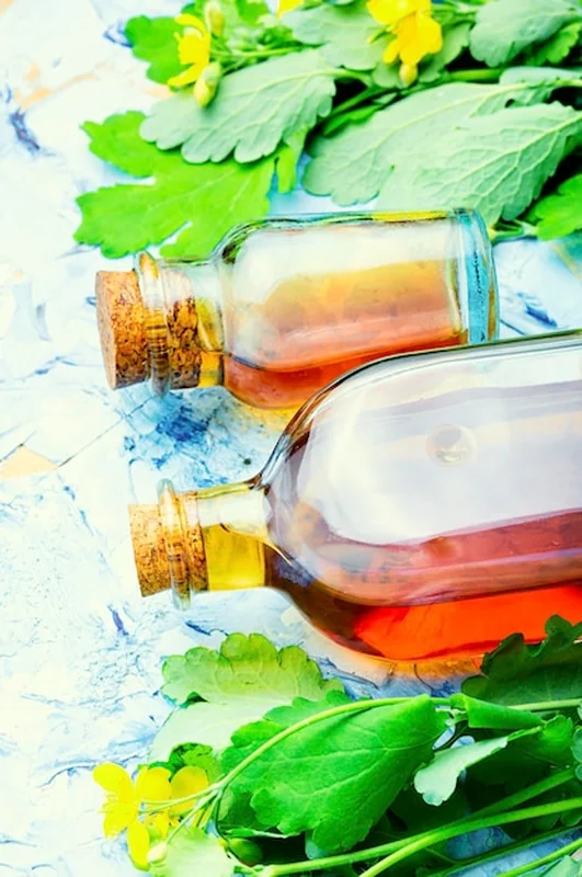 Butelka z leczniczą nalewką z glistnika - medycyna alternatywna