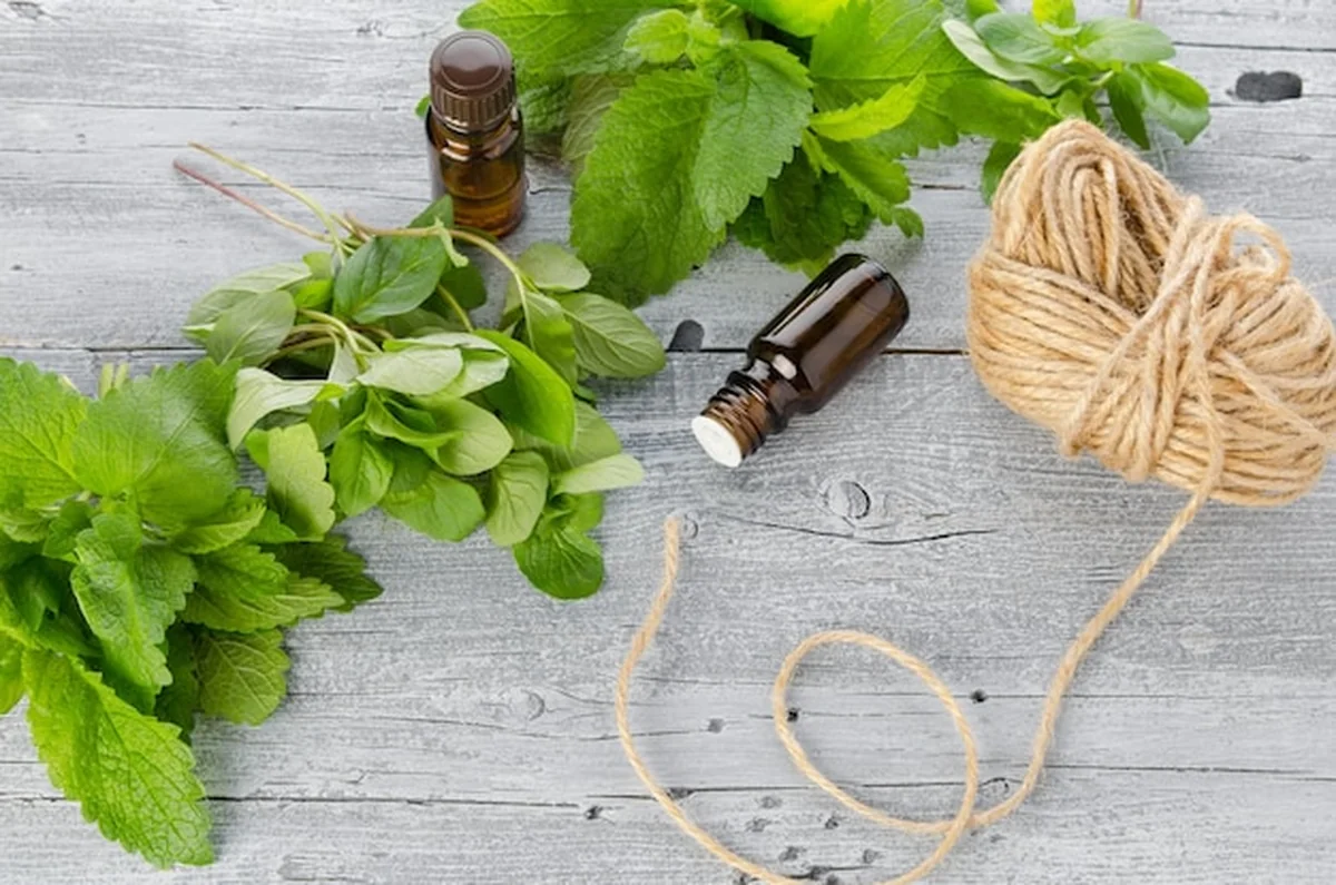 Świeże zielone liście mięty i olejek eteryczny w butelce na stole drewnianym