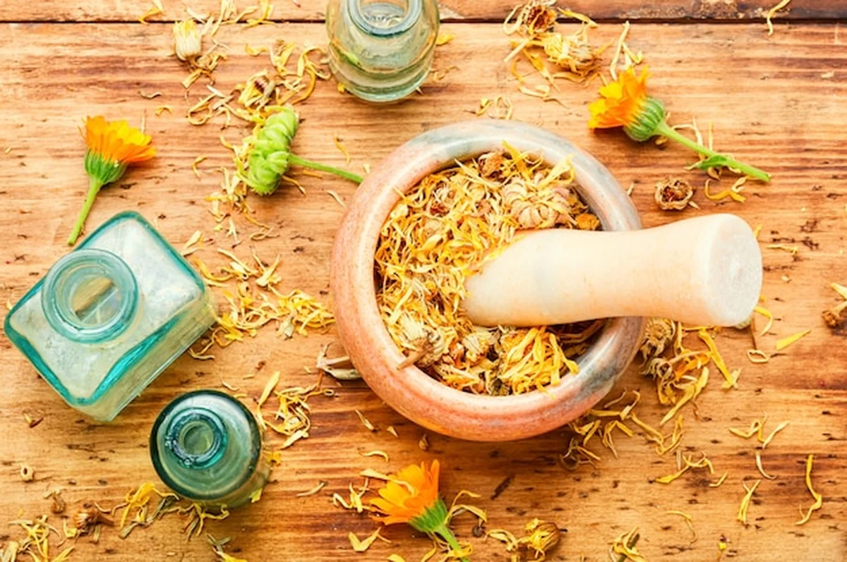 Naturalna medycyna ziołowa