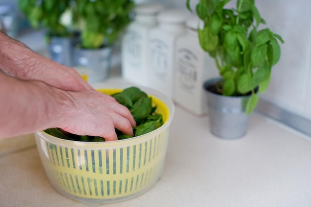 Jak przechowywać bazylię? Porady na świeże zioła w doniczce